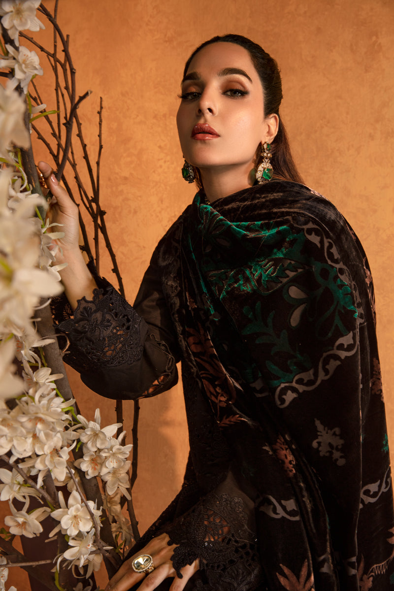 Rangrasiya | Premium Winter Edit 24 |  Espresso - House Of Hania