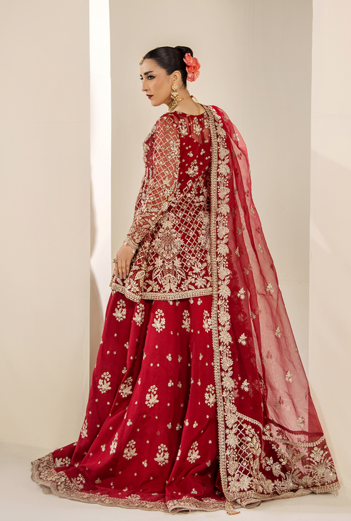 Saad Shaikh | Celestia Wedding Formals 26 | AMÉLIE - House Of Hania