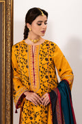 Saad Shaikh | Luminaa Winter 24 | SOLSTICE - House Of Hania