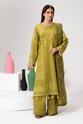 Saad Shaikh | Luminaa Winter 24 | SORBET - House Of Hania