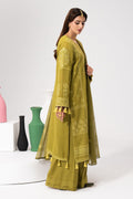 Saad Shaikh | Luminaa Winter 24 | SORBET - House Of Hania