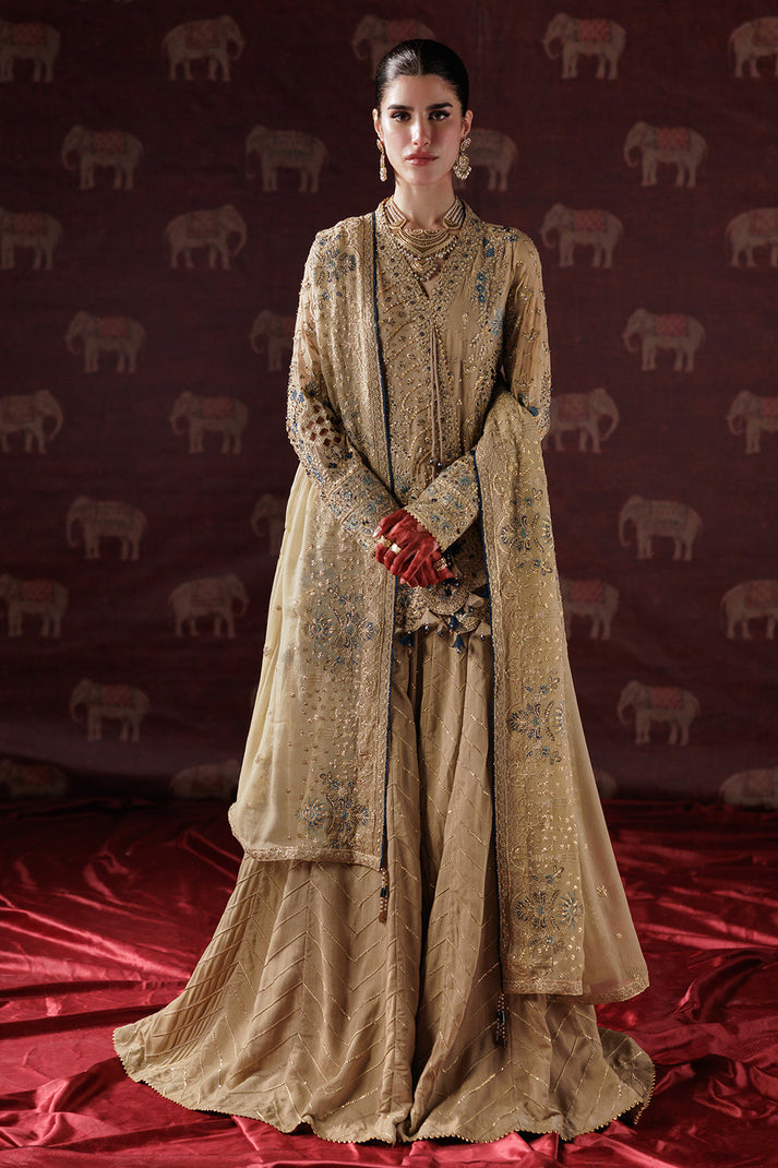 Saad Shaikh | Panache Luxury Chiffon 25 | D-05 - House Of Hania