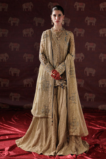 Saad Shaikh | Panache Luxury Chiffon 25 | D-05 - House Of Hania