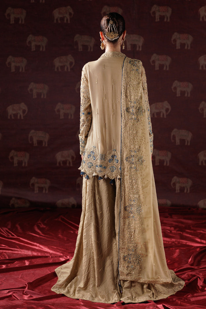 Saad Shaikh | Panache Luxury Chiffon 25 | D-05 - House Of Hania