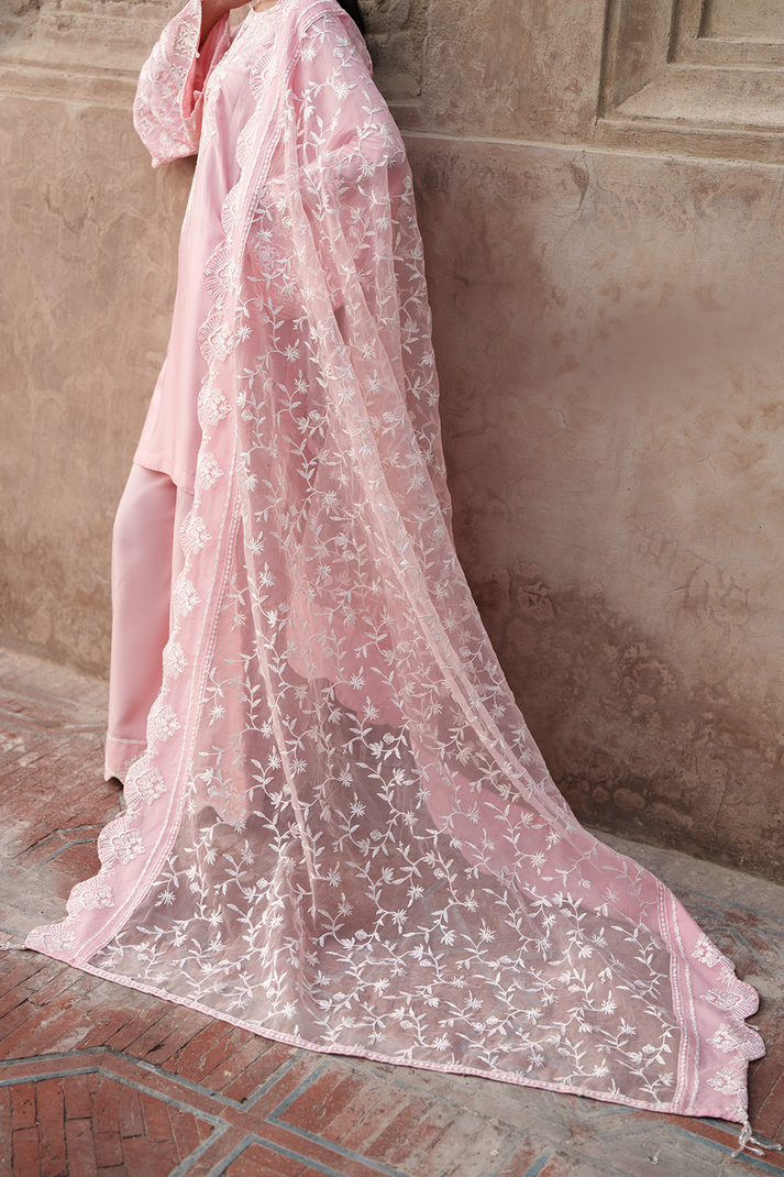 Saad Shaikh | Zaria Festive Pret 25 | BLUSH - House Of Hania