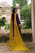 Saad Shaikh | Zaria Festive Pret 25 | RAVEN - House Of Hania
