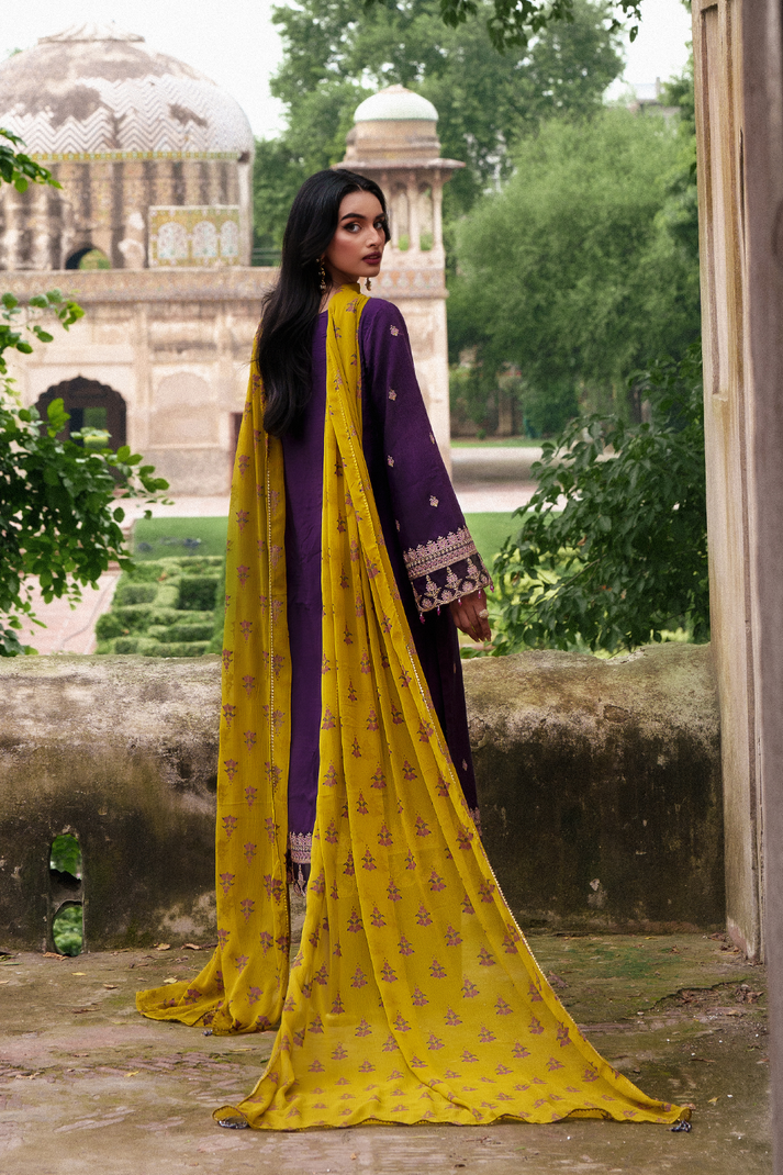 Saad Shaikh | Zaria Festive Pret 25 | RAVEN - House Of Hania