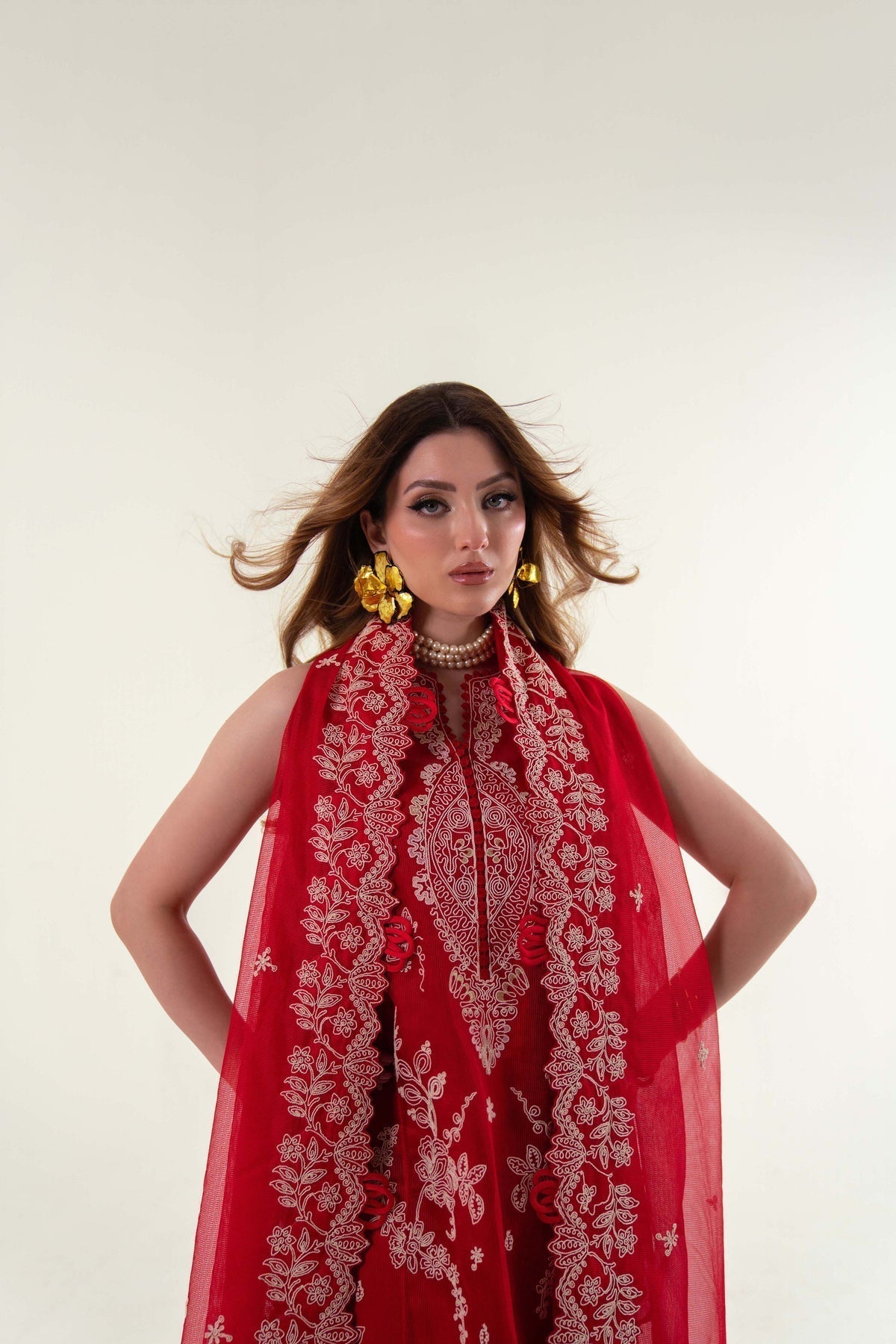 Sable Vogue | Luxury Lawn 25 | SL-02-25-V2 - House Of Hania