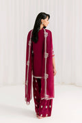 Saira Rizwan | Silk Pret 25 | ANERA - House Of Hania