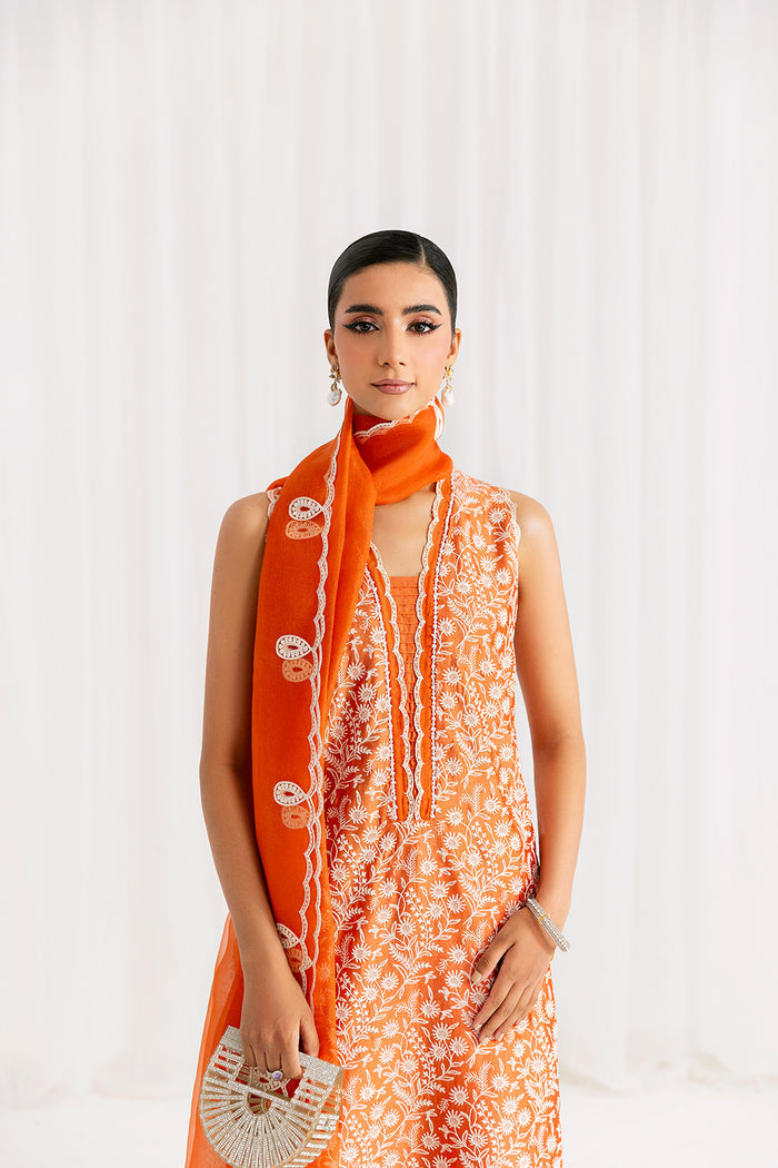Saira Rizwan | Silk Pret 25 | EIRA - House Of Hania