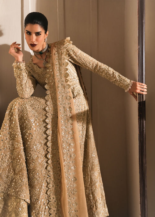 Saira Shakira | Reve Wedding Festive 26 | Moonveil - House Of Hania