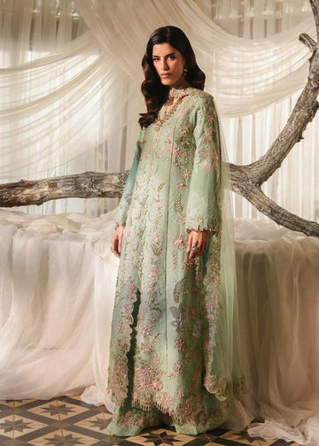 Saira Shakira | Reve Wedding Festive 26 | Verdant - House Of Hania