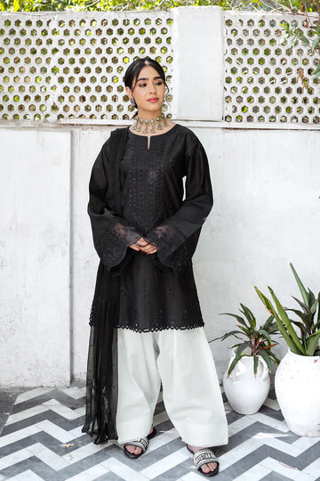 Saira rizwan | Ik Serra Pret 2024 | KASHF SRIK24-05 - House Of Hania