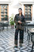 Saira rizwan | VIEVA | SOMBER SRV-24-01 - House Of Hania