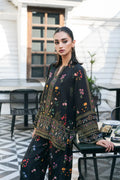 Saira rizwan | VIEVA | SOMBER SRV-24-01 - House Of Hania