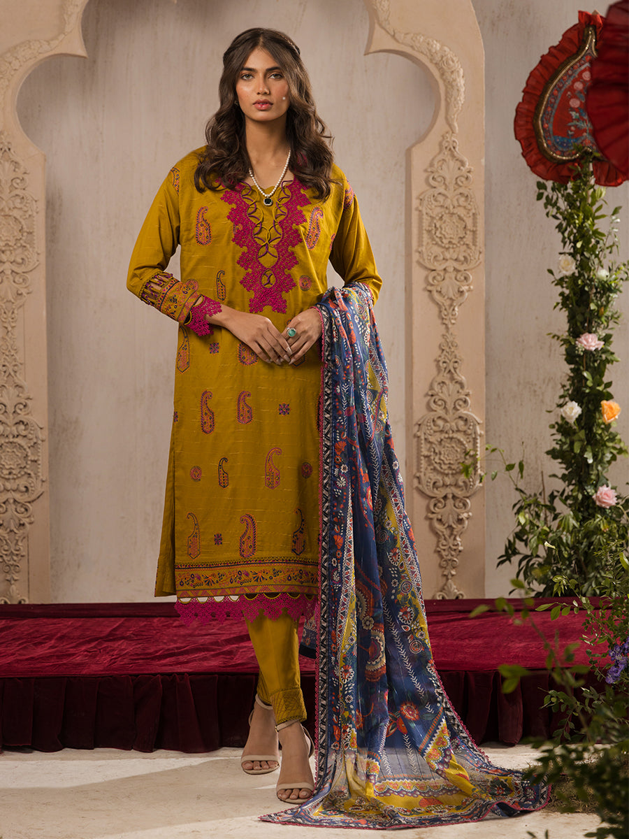 Salitex | Eid Edition | D10 - House Of Hania