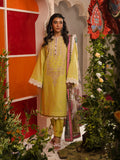 Salitex | Eid Edition | D13 - House Of Hania
