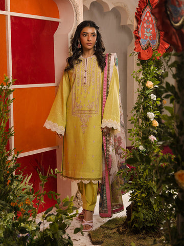 Salitex | Eid Edition | D13 - House Of Hania
