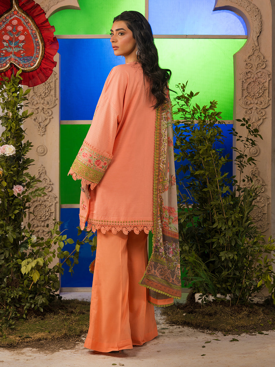 Salitex | Eid Edition | D14 - House Of Hania