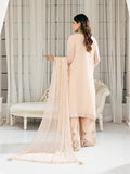 Salitex | Signature Festive Chiffon | SUNS7CH039UT - House Of Hania