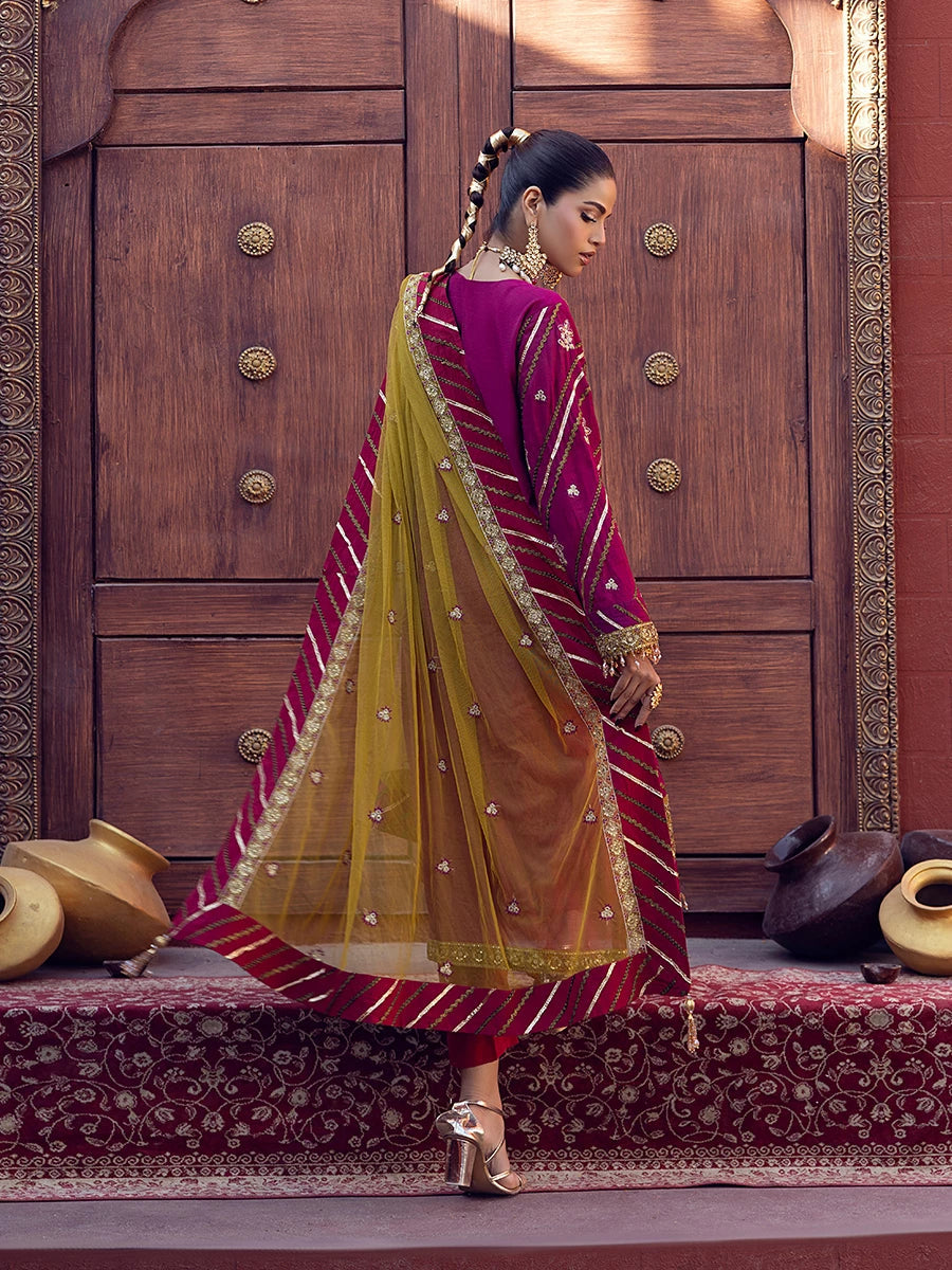 Salitex | Signature Festive Chiffon | SUNW6JI015UT - House Of Hania