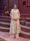Salitex | Signature Festive Chiffon | SUNW6JI016UT - House Of Hania