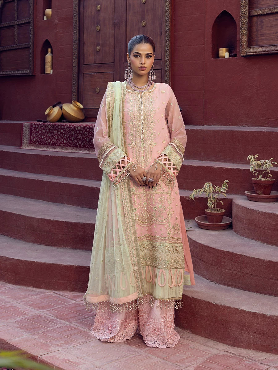 Salitex | Signature Festive Chiffon | SUNW6JI016UT - House Of Hania