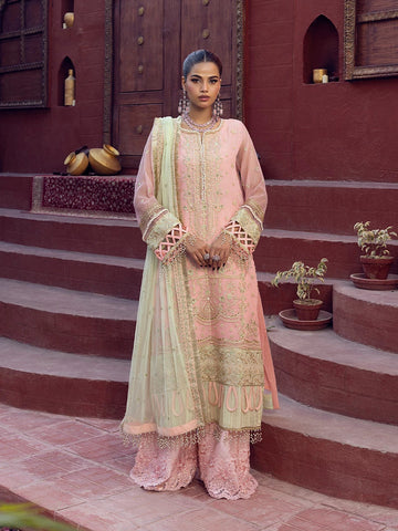 Salitex | Signature Festive Chiffon | SUNW6JI016UT - House Of Hania