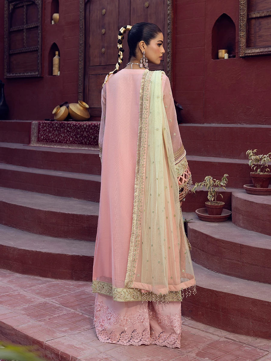Salitex | Signature Festive Chiffon | SUNW6JI016UT - House Of Hania