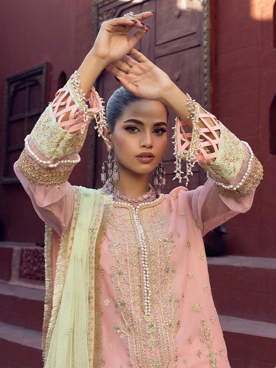 Salitex | Signature Festive Chiffon | SUNW6JI016UT - House Of Hania