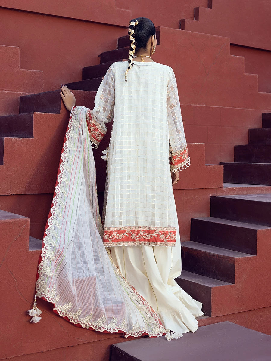 Salitex | Signature Festive Chiffon | SUNW6JI024UT - House Of Hania