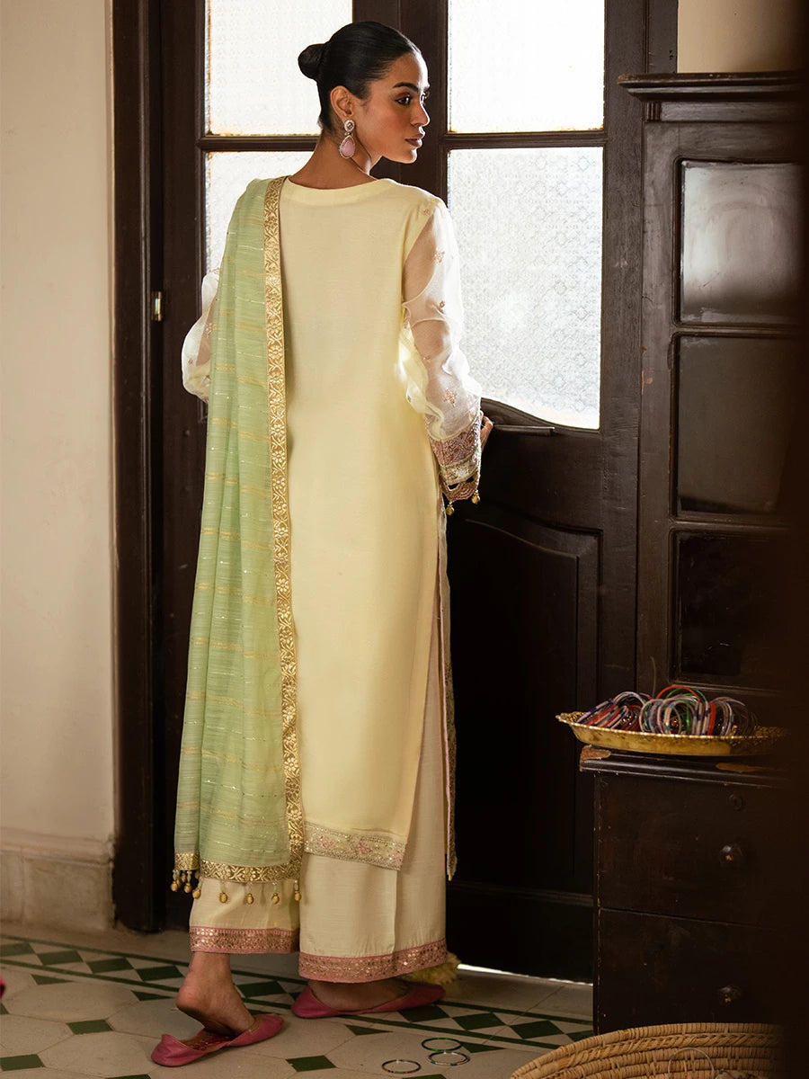 Salitex | Signature Festive Chiffon | SUNW6JI045UT - House Of Hania