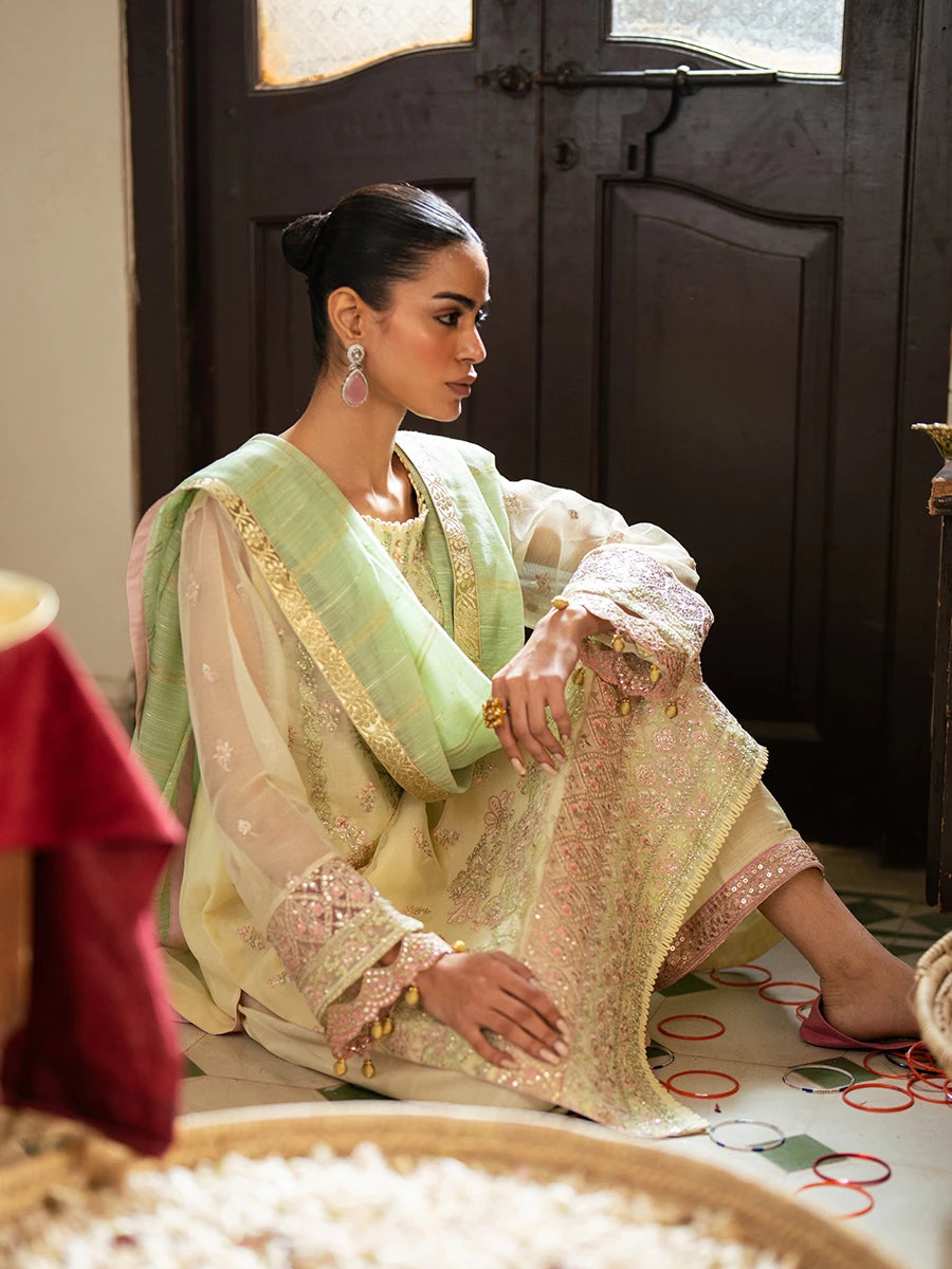 Salitex | Signature Festive Chiffon | SUNW6JI045UT - House Of Hania