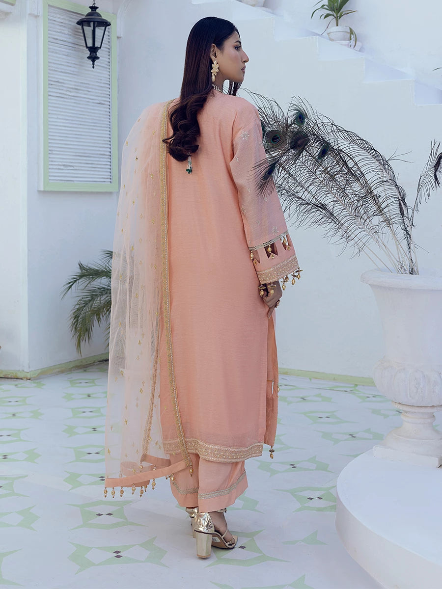 Salitex | Signature Festive Chiffon | SUNW6NO007UT - House Of Hania