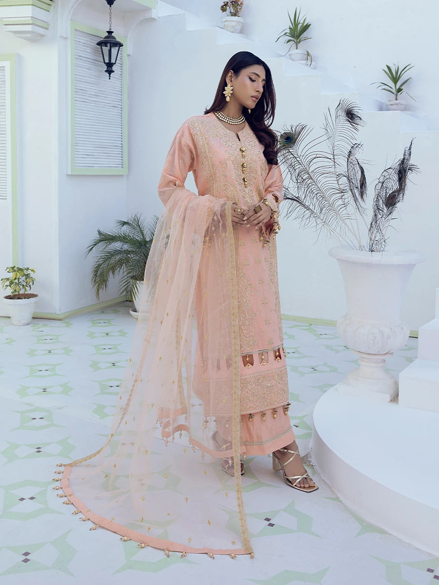 Salitex | Signature Festive Chiffon | SUNW6NO007UT - House Of Hania