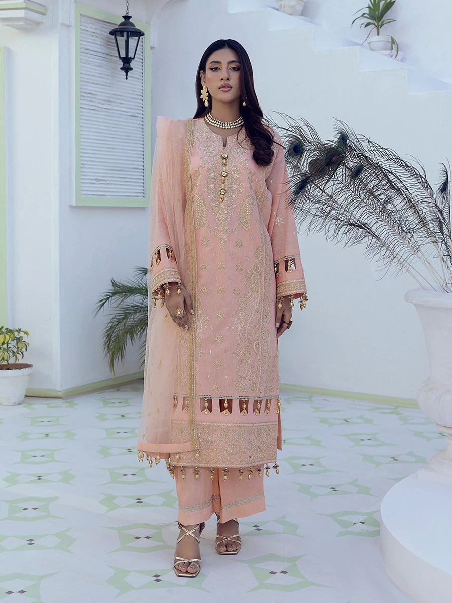 Salitex | Signature Festive Chiffon | SUNW6NO007UT - House Of Hania