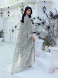Salitex | Signature Festive Chiffon | SUNW6NO010UT - House Of Hania