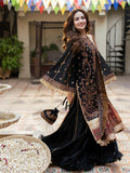 Salitex | Signature Festive Chiffon | SUNW6NO025UT - House Of Hania