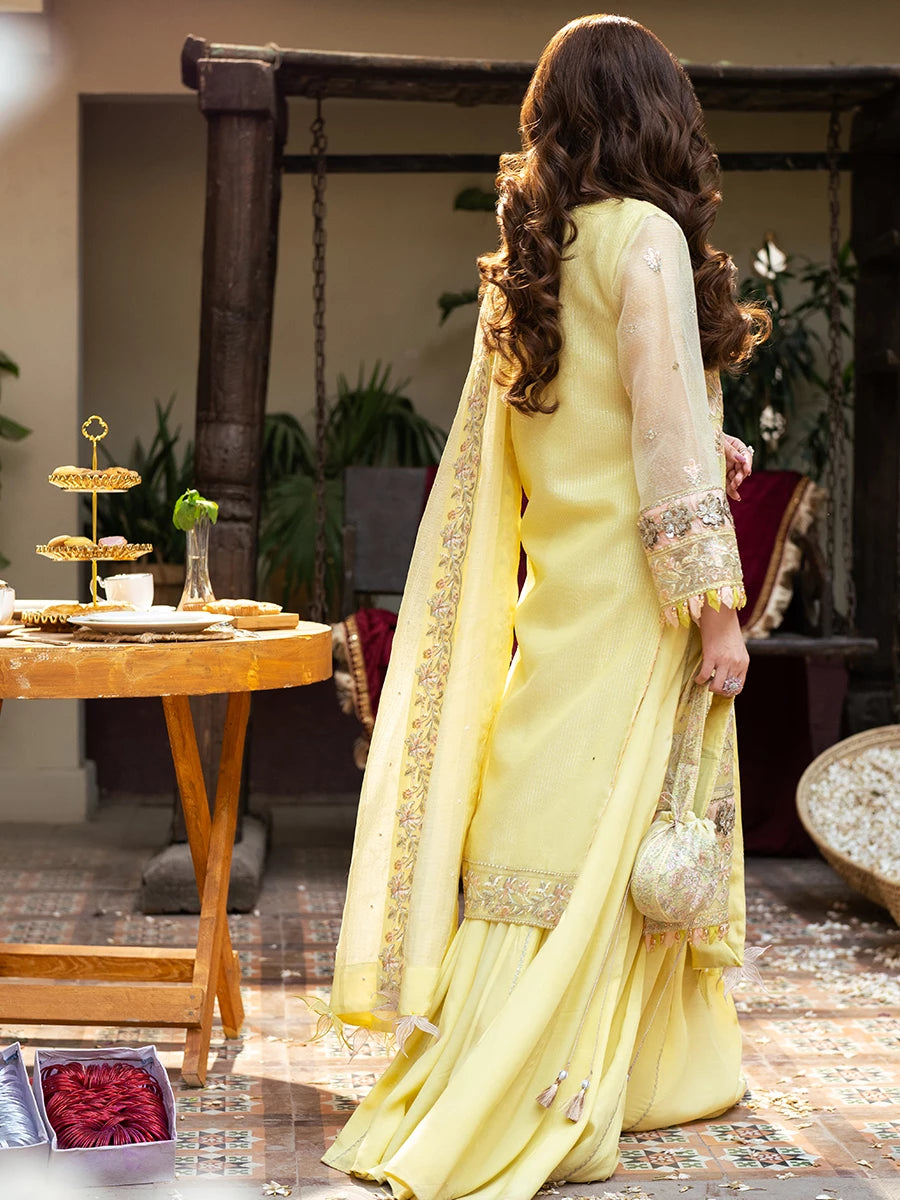Salitex | Signature Festive Chiffon | SUNW6NO030UT - House Of Hania