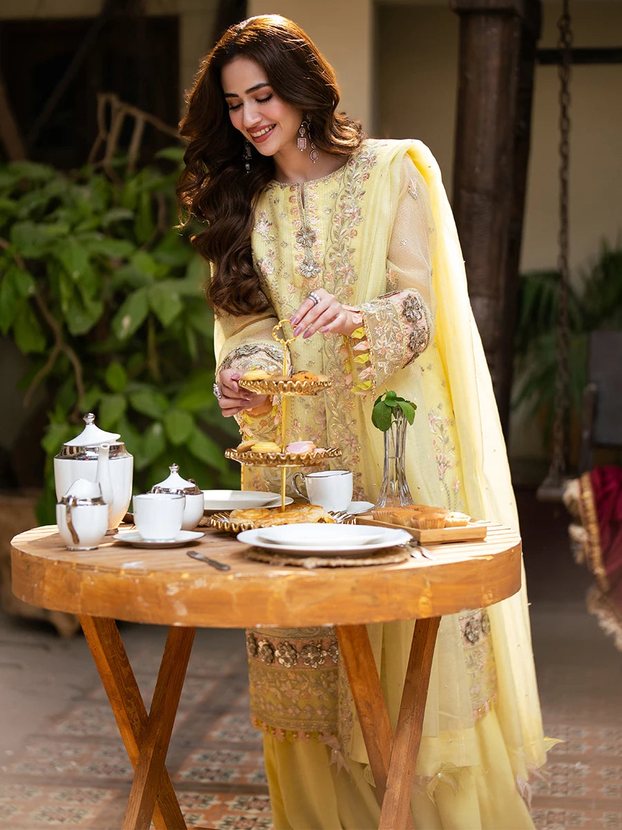 Salitex | Signature Festive Chiffon | SUNW6NO030UT - House Of Hania