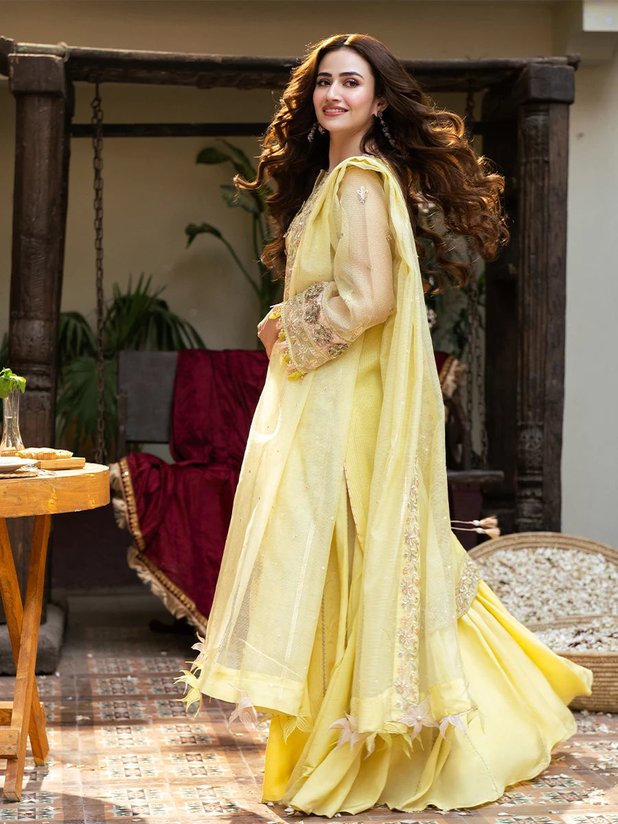 Salitex | Signature Festive Chiffon | SUNW6NO030UT - House Of Hania
