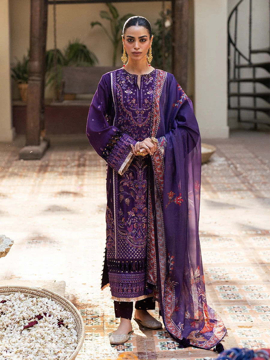 Salitex | Signature Festive Chiffon | SUNW6NO031UT - House Of Hania