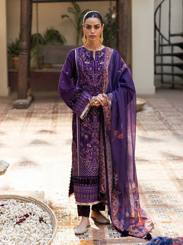 Salitex | Signature Festive Chiffon | SUNW6NO031UT - House Of Hania