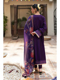 Salitex | Signature Festive Chiffon | SUNW6NO031UT - House Of Hania