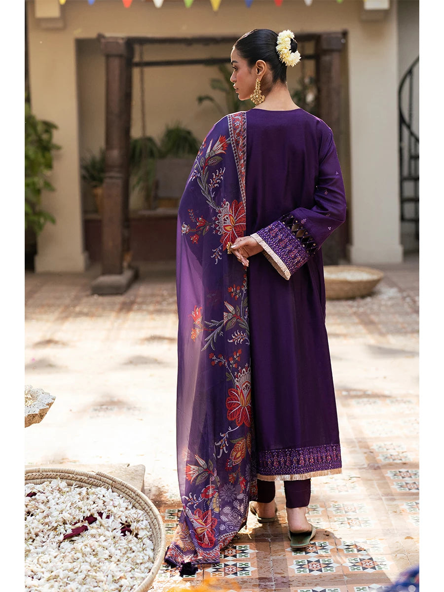 Salitex | Signature Festive Chiffon | SUNW6NO031UT - House Of Hania