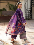 Salitex | Signature Festive Chiffon | SUNW6NO031UT - House Of Hania