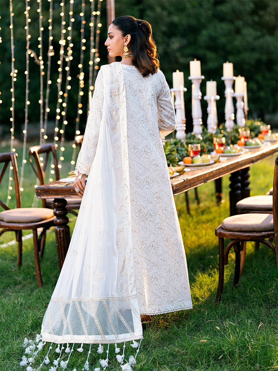Salitex | Signature Festive Chiffon | UNS25WW001UT - House Of Hania