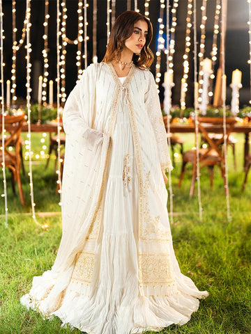 Salitex | Signature Festive Chiffon | UNS25WW003UT - House Of Hania