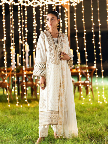 Salitex | Signature Festive Chiffon | UNS25WW010UT - House Of Hania