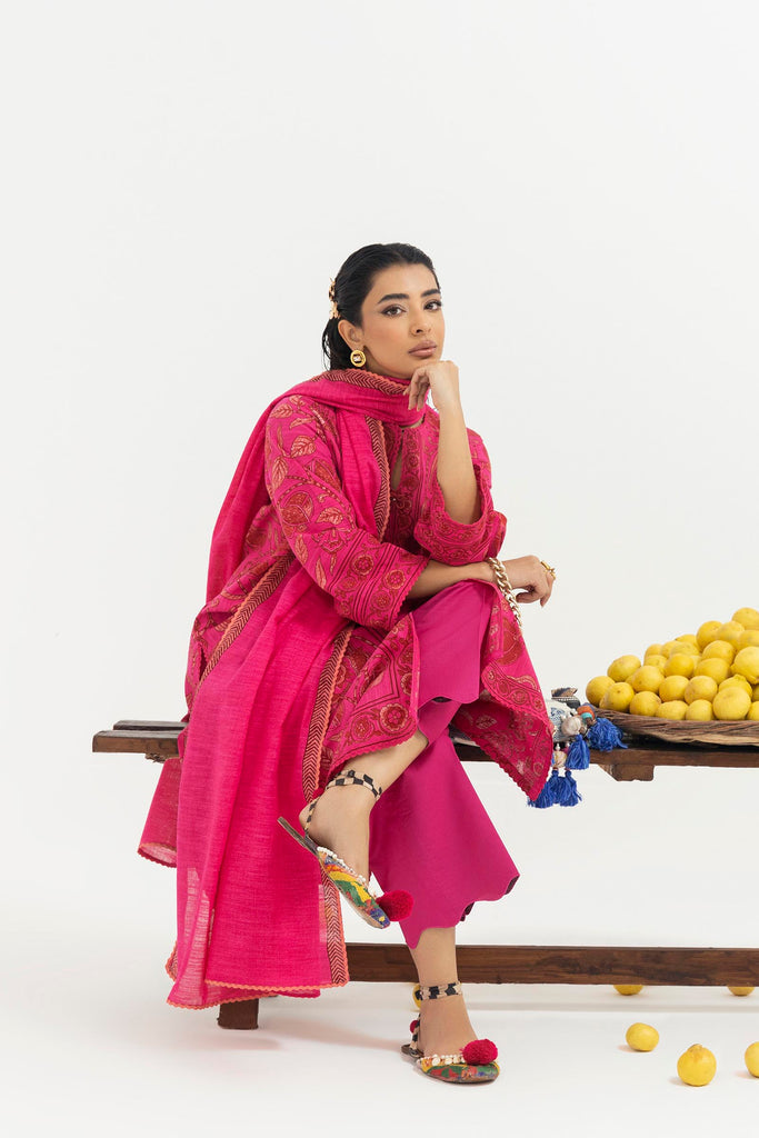 Sana Safinaz | Mahay Winter 25 | H255-008A-2Q - House Of Hania